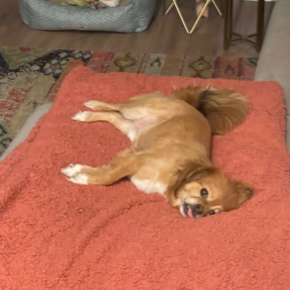 Christine *Scene* 🥳🤪 - Picture 7 of 16